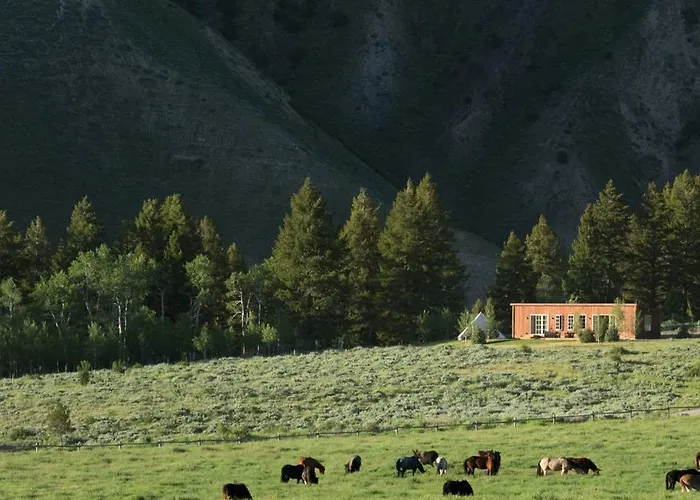 The At Snake River Sporting Club *